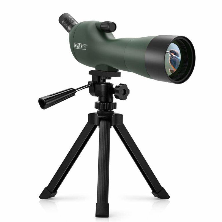 Best Spotting Scopes For The Money