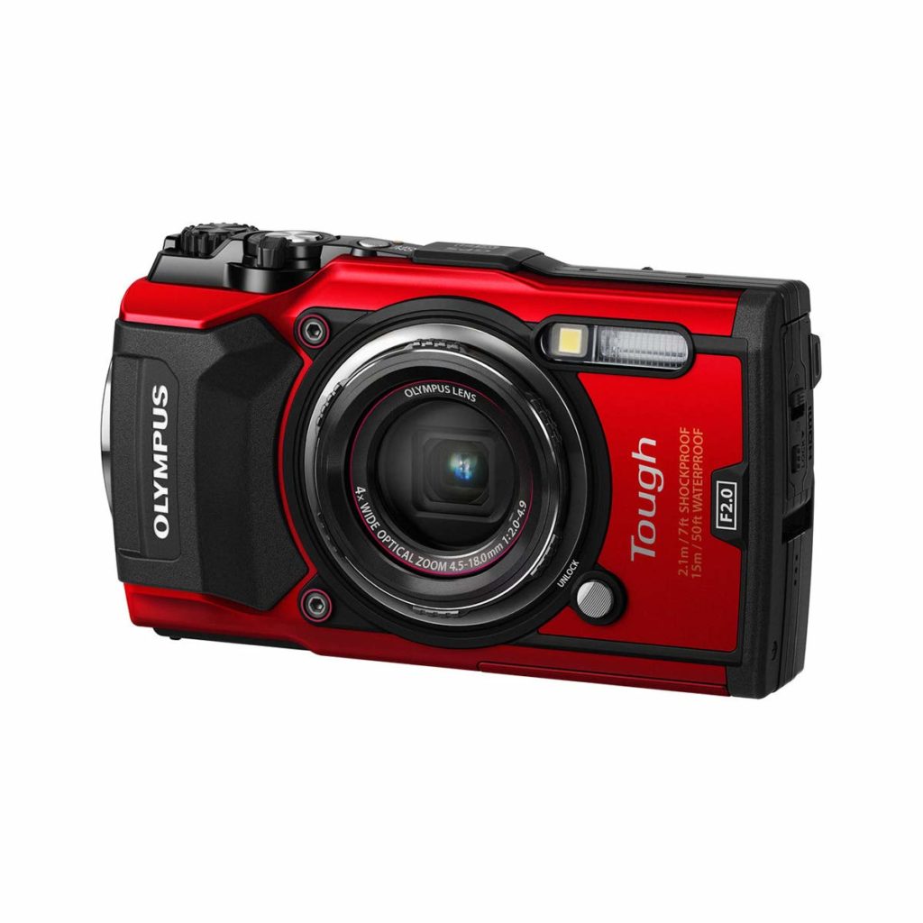 Top 10 Best Digital Cameras 2019 - Top Value Reviews